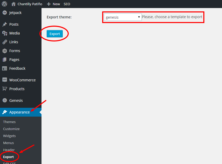 HOW TO EXPORT YOUR WORDPRESS THEME FROM YOUR DASHBOARD_CHANTILLY PATINO_2